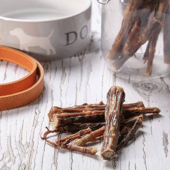 خرید غذای تشویقی سگ رشت