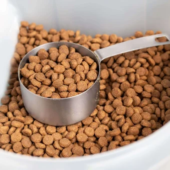 غذای خشک سگ رشت